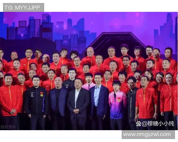 西安乒乓球队进攻体系解析与战术创新探讨